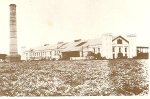 Vista fotográfica de la Hacienda de Lurifico en 1881